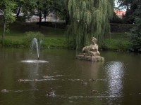 Swingový rybník Z Duchova přes Osek do Litvínova