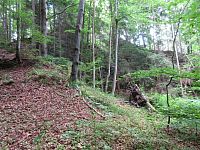 Cesta na zříceninu Freudenštejn Jedeme znovu na severovýchod - 27. den - zřícenina hradu Freudenštejn; 4 km dlouhý okruh: Vrbno pod Pradědem - vyhlídková věž Na Zámecké hoře; lázně Karlova Studánka, vesnická památková zóna