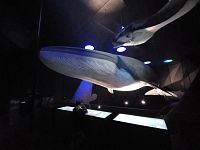 Ozeaneum Stralsund